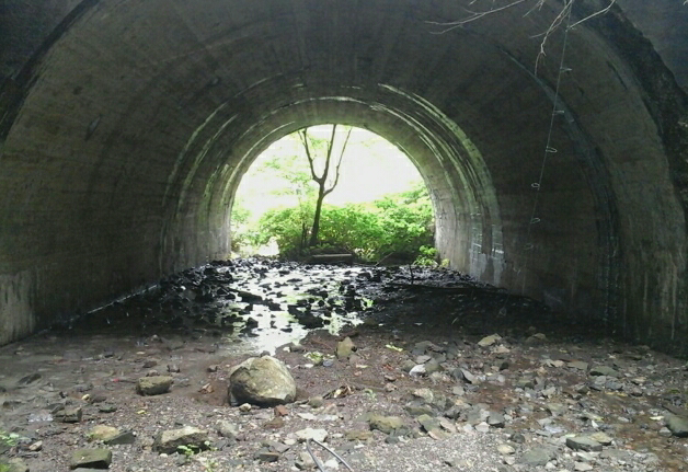 AG stormwater 1