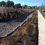 Larimer Park 3