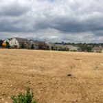 Larimer Park 5