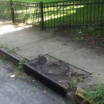 Ophelia Street 3
