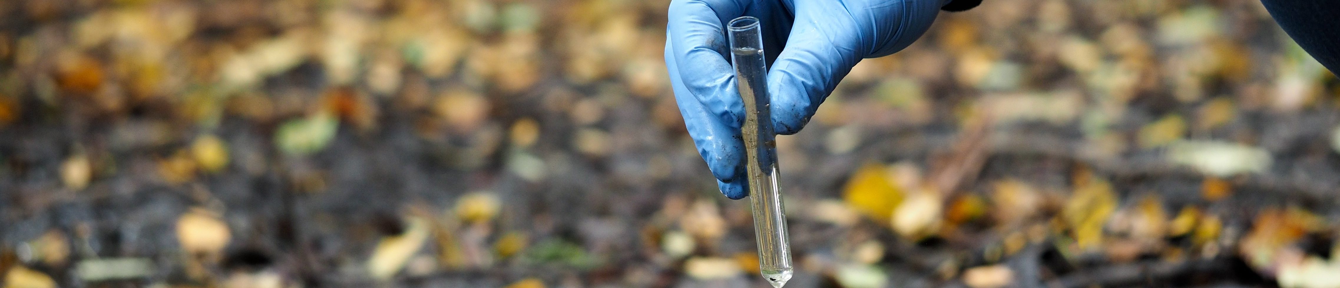 Water sample. Hand in glove collects water from a puddle in a test tube. Analysis of water purity, environment, ecology - concept. Water testing for infections, harmful emissions