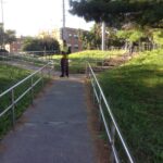 Negley 5